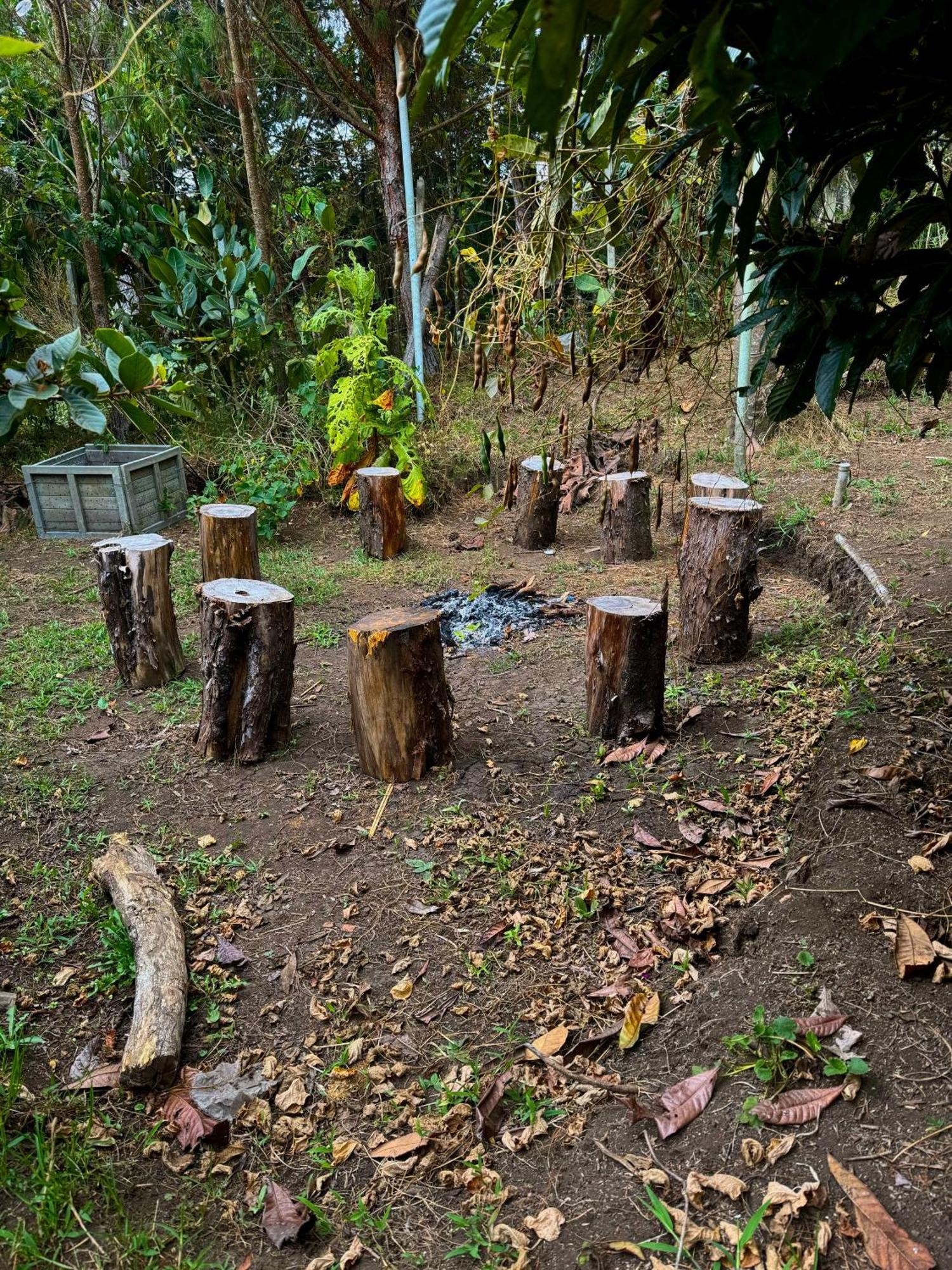 Beehouse Arvi Cabana Guarne Exterior foto