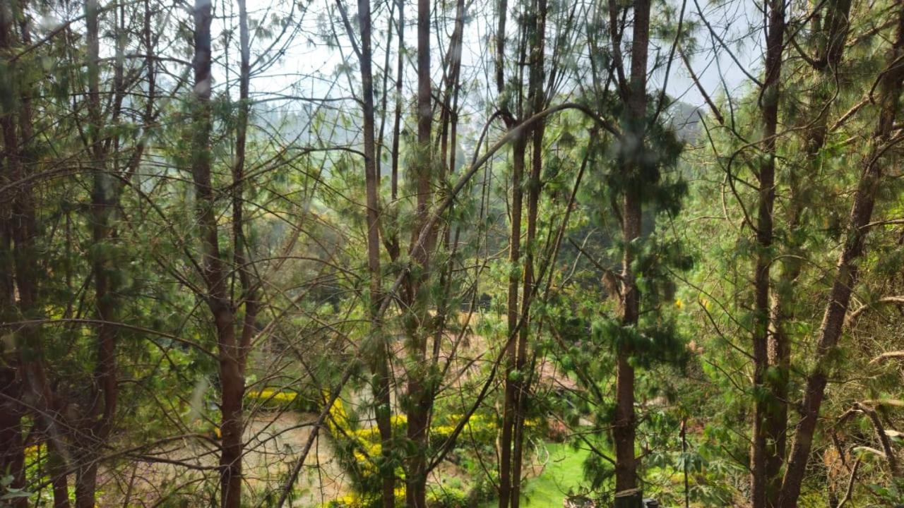 Beehouse Arvi Cabana Guarne Exterior foto