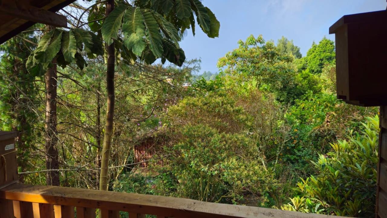 Beehouse Arvi Cabana Guarne Exterior foto